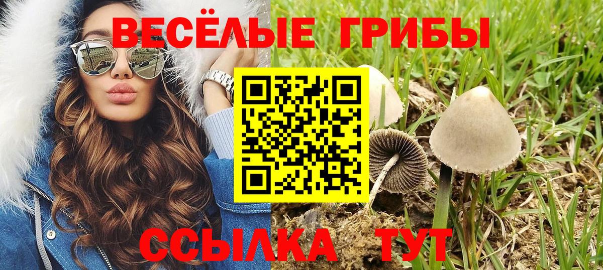 Павлово  Галлюциногенные грибы Psilocybe  Вход с VPN 